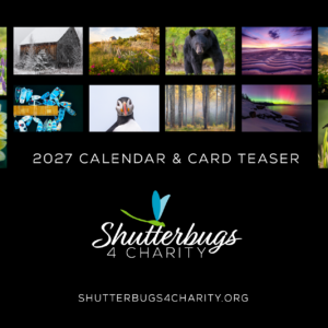 Note Cards