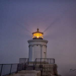 Bug Light